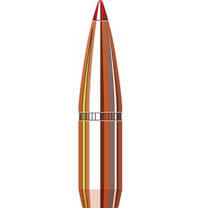 bullet