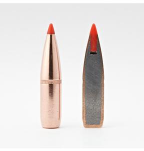 bullet2