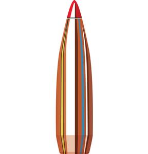 bullet